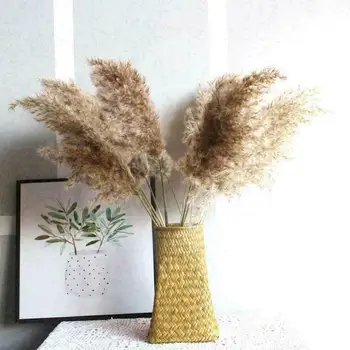 Posušene Pampe Travo, Naravno Phragmites Cvetje Dekor Poroko Cvet Kup Naravnih Big Reed Rastline Za Dom Božični Okraski