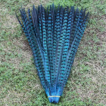 Debelo 10 KOS/veliko lepih fazan pero 20-22 centimetrov / 50-55 cm, različne barve, lahko izberete