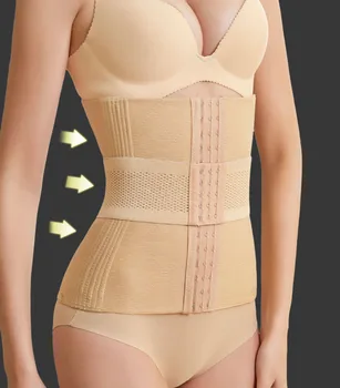 XXS XS Vitek Pas Trener Ženske obleke Modeliranje Pasu Telo Oblikovalec Girdle hujšanje Korzet 16 Jekla Kosti Tummy Trimmer Shapewear